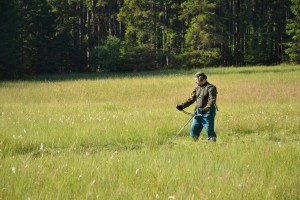 Jura kosí s křoviňákem