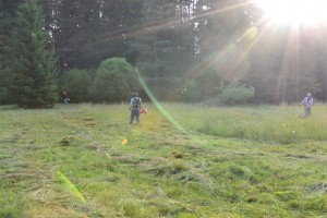 Všichni tři křováci